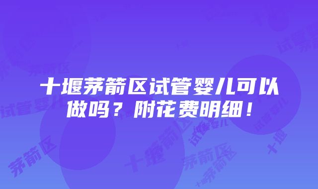 十堰茅箭区试管婴儿可以做吗？附花费明细！