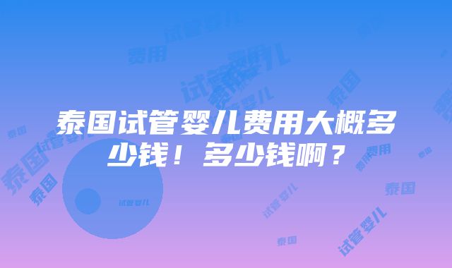 泰国试管婴儿费用大概多少钱！多少钱啊？