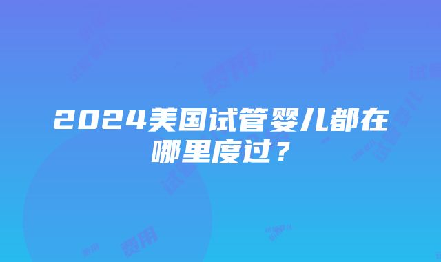 2024美国试管婴儿都在哪里度过？