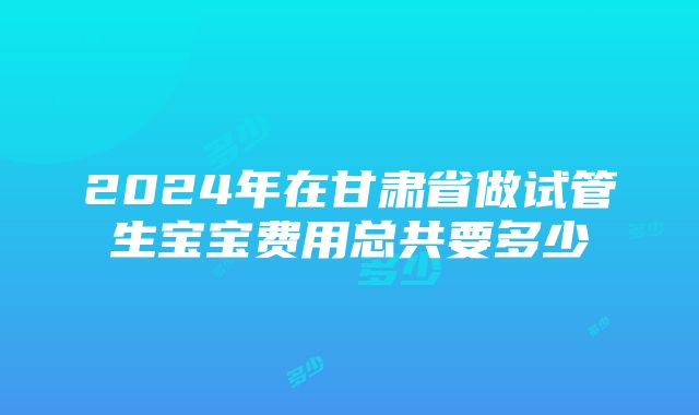 2024年在甘肃省做试管生宝宝费用总共要多少