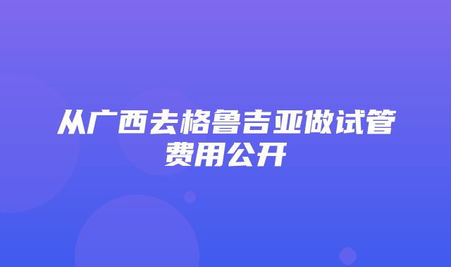 从广西去格鲁吉亚做试管费用公开