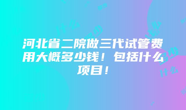 河北省二院做三代试管费用大概多少钱！包括什么项目！