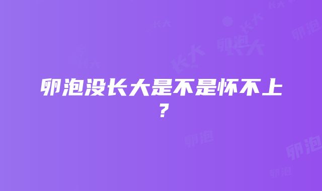 卵泡没长大是不是怀不上？