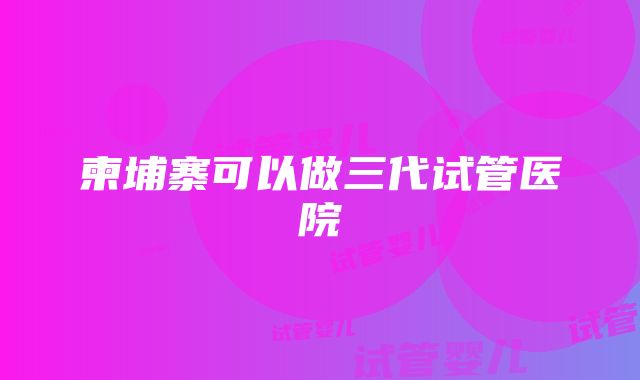 柬埔寨可以做三代试管医院