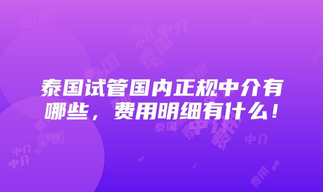 泰国试管国内正规中介有哪些，费用明细有什么！