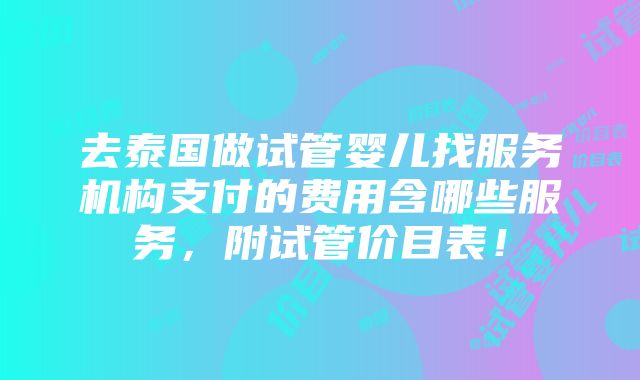 去泰国做试管婴儿找服务机构支付的费用含哪些服务，附试管价目表！