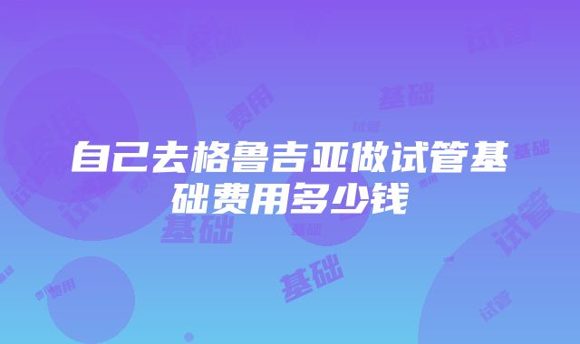 自己去格鲁吉亚做试管基础费用多少钱