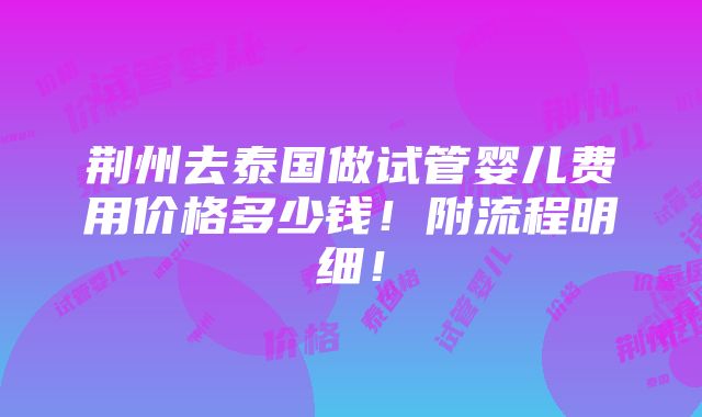 荆州去泰国做试管婴儿费用价格多少钱！附流程明细！