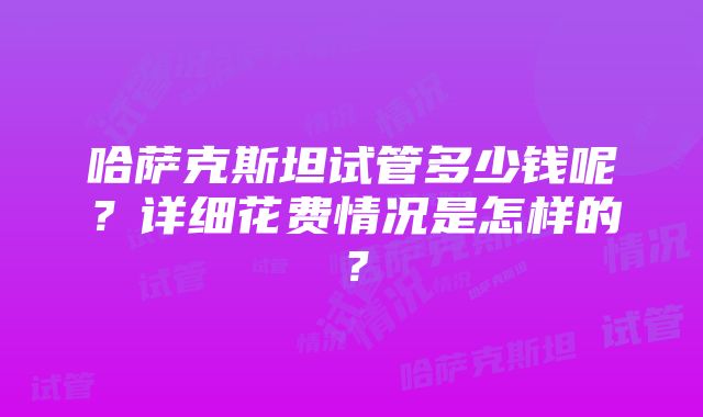 哈萨克斯坦试管多少钱呢？详细花费情况是怎样的？