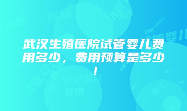 武汉生殖医院试管婴儿费用多少，费用预算是多少！