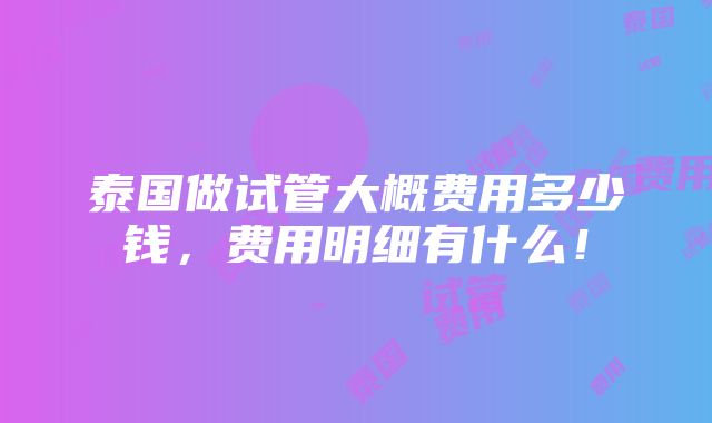 泰国做试管大概费用多少钱，费用明细有什么！