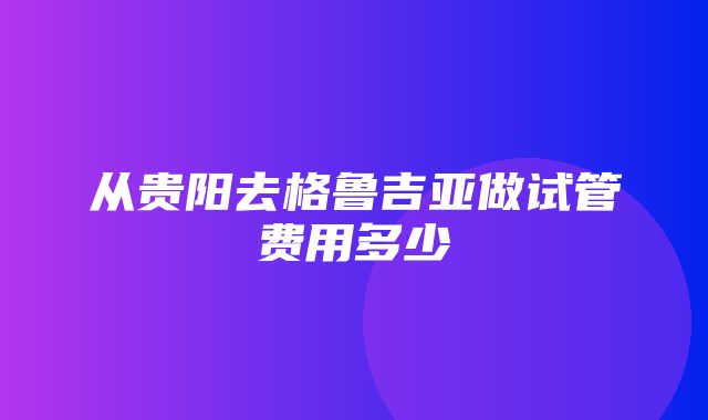 从贵阳去格鲁吉亚做试管费用多少