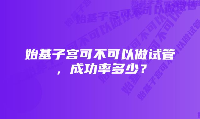 始基子宫可不可以做试管，成功率多少？