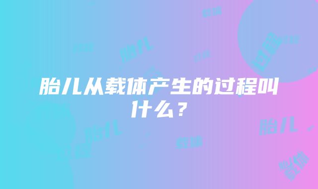 胎儿从载体产生的过程叫什么？