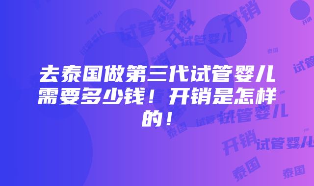 去泰国做第三代试管婴儿需要多少钱！开销是怎样的！