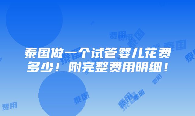 泰国做一个试管婴儿花费多少！附完整费用明细！