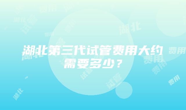 湖北第三代试管费用大约需要多少？