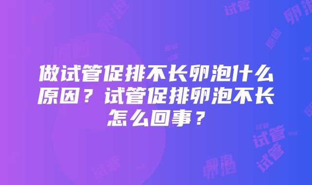 做试管促排不长卵泡什么原因？试管促排卵泡不长怎么回事？