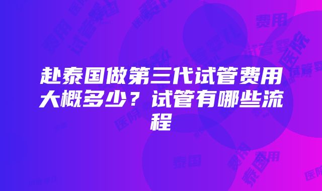 赴泰国做第三代试管费用大概多少？试管有哪些流程