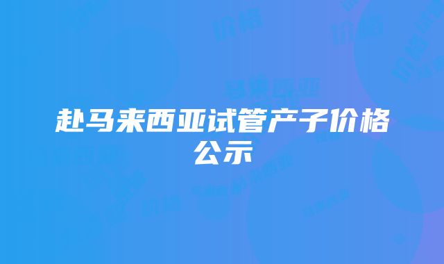 赴马来西亚试管产子价格公示