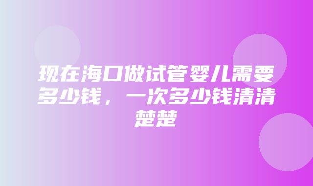 现在海口做试管婴儿需要多少钱，一次多少钱清清楚楚