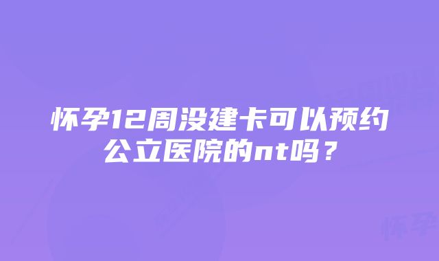 怀孕12周没建卡可以预约公立医院的nt吗？