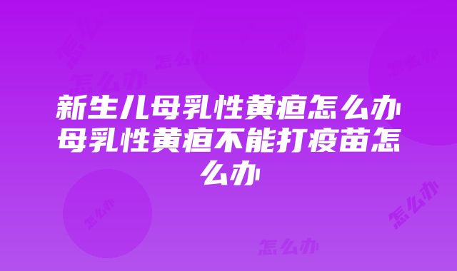 新生儿母乳性黄疸怎么办母乳性黄疸不能打疫苗怎么办