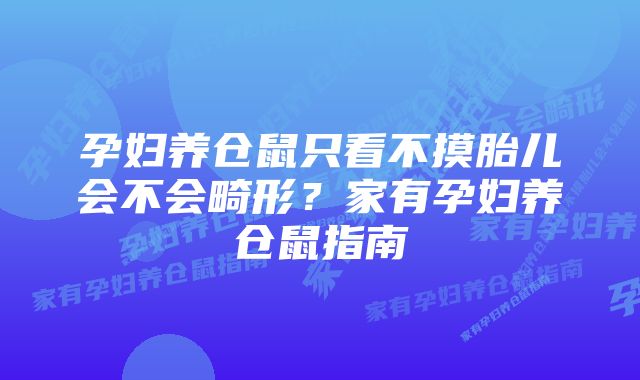 孕妇养仓鼠只看不摸胎儿会不会畸形？家有孕妇养仓鼠指南