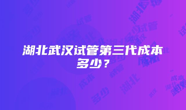 湖北武汉试管第三代成本多少？