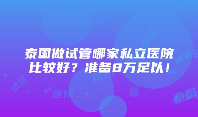 泰国做试管哪家私立医院比较好？准备8万足以！