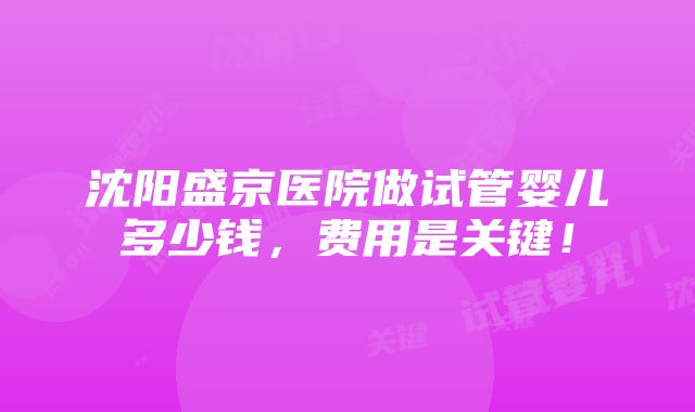 沈阳盛京医院做试管婴儿多少钱，费用是关键！