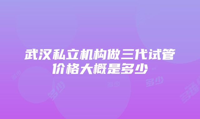 武汉私立机构做三代试管价格大概是多少