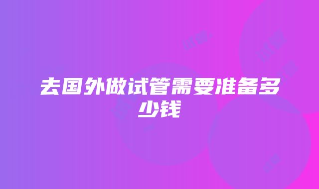 去国外做试管需要准备多少钱