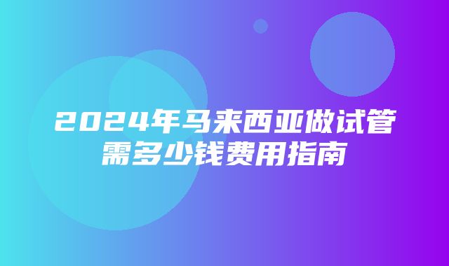 2024年马来西亚做试管需多少钱费用指南