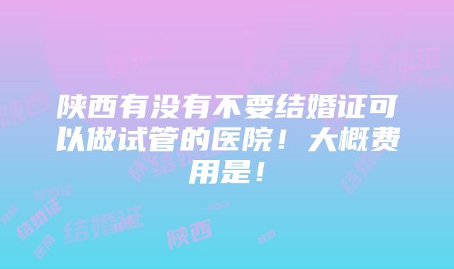 陕西有没有不要结婚证可以做试管的医院！大概费用是！