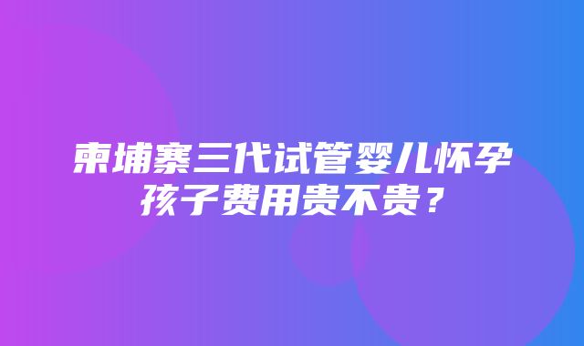 柬埔寨三代试管婴儿怀孕孩子费用贵不贵？