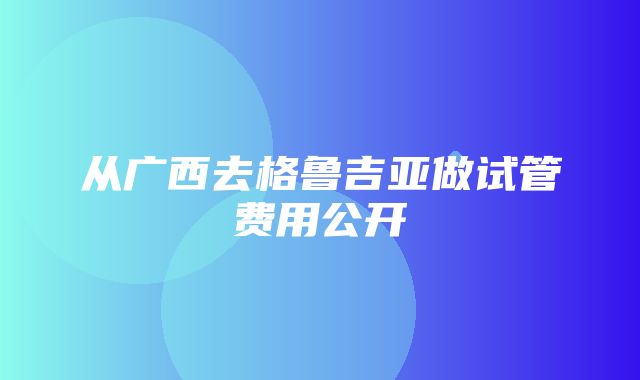 从广西去格鲁吉亚做试管费用公开