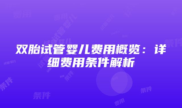 双胎试管婴儿费用概览：详细费用条件解析