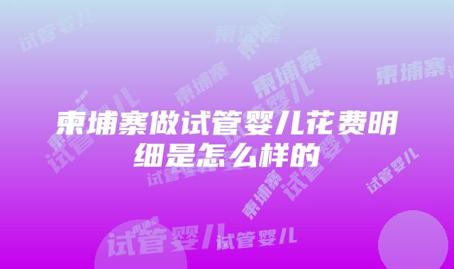 柬埔寨做试管婴儿花费明细是怎么样的