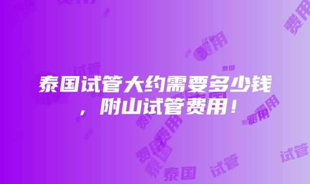 泰国试管大约需要多少钱，附山试管费用！