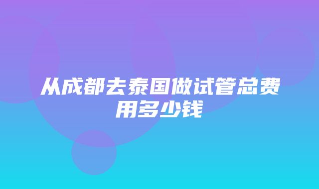 从成都去泰国做试管总费用多少钱