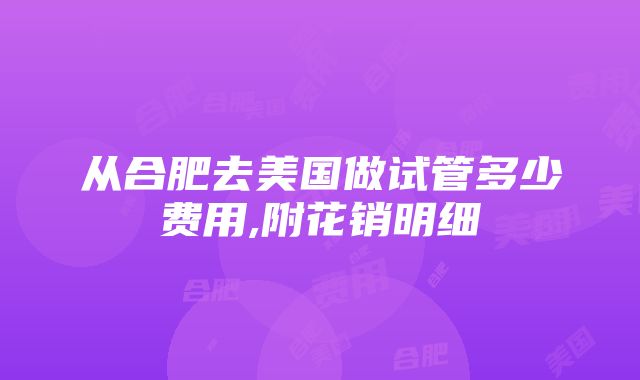 从合肥去美国做试管多少费用,附花销明细