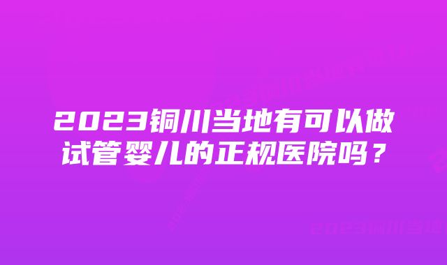 2023铜川当地有可以做试管婴儿的正规医院吗？