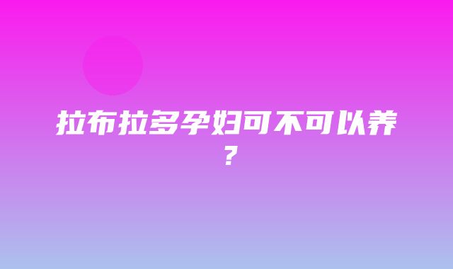 拉布拉多孕妇可不可以养？