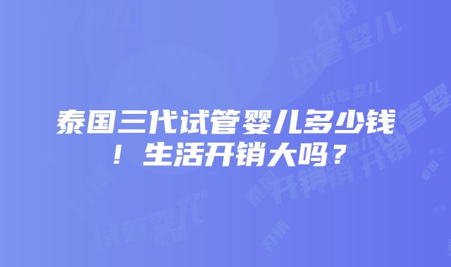 泰国三代试管婴儿多少钱！生活开销大吗？