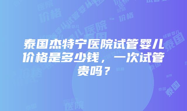 泰国杰特宁医院试管婴儿价格是多少钱，一次试管贵吗？