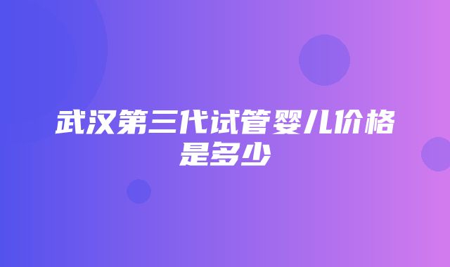 武汉第三代试管婴儿价格是多少