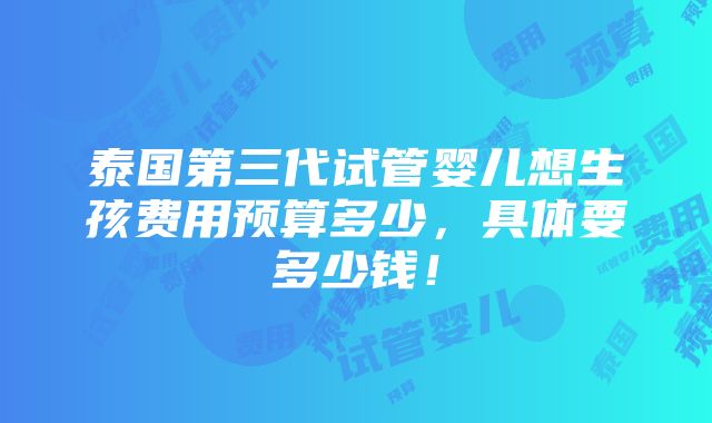 泰国第三代试管婴儿想生孩费用预算多少，具体要多少钱！