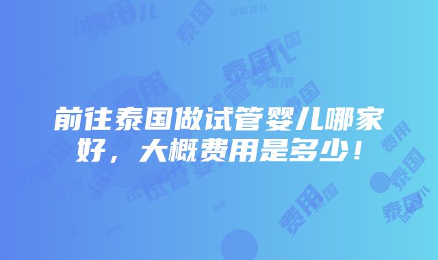 前往泰国做试管婴儿哪家好，大概费用是多少！