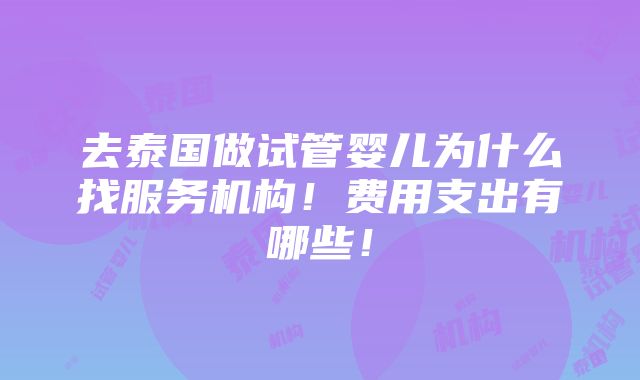 去泰国做试管婴儿为什么找服务机构！费用支出有哪些！